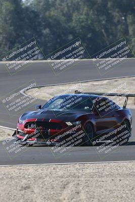 media/Nov-09-2025-Speed Ventures (Sun) [[388b781dcd]]/Black/Session 2 (Turn 3)/